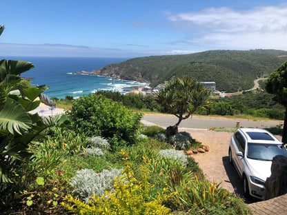 Dutton S Cove Guesthouse Herolds Bay Western Cape South Africa Complementary Colors, Beach, Nature, Sand, Palm Tree, Plant, Wood, Car, Vehicle