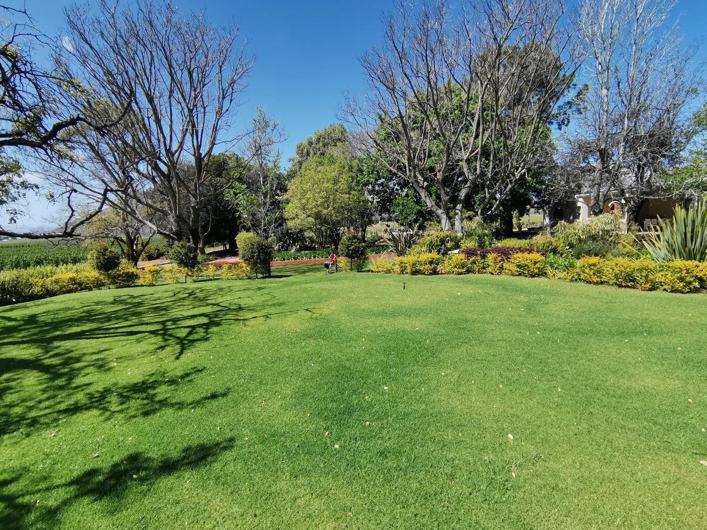 Duvon Farmhouse Robertson Western Cape South Africa Complementary Colors, Plant, Nature, Garden