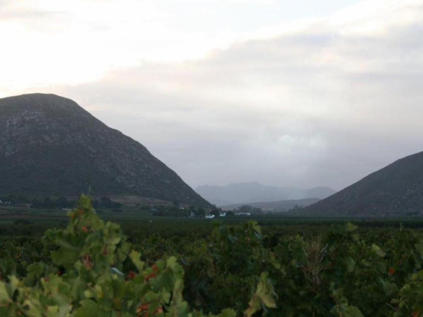 Duvon Farmhouse Robertson Western Cape South Africa Mountain, Nature, Highland