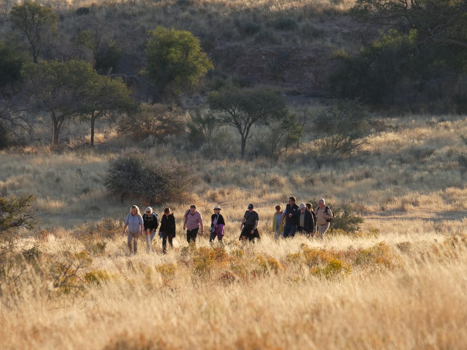 Duwisib Guest Farm, Cactus, Plant, Nature, Field, Agriculture, Group, Person, Desert, Sand, Lowland