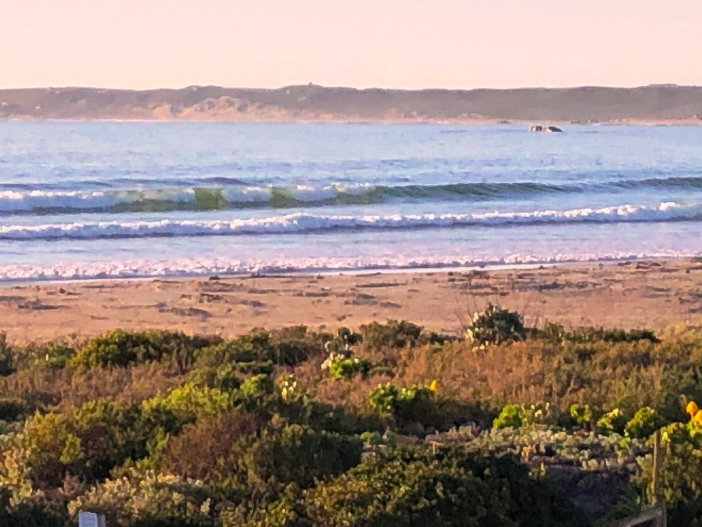 D V Engelhijs Voorstrand Paternoster Western Cape South Africa Complementary Colors, Beach, Nature, Sand, Ocean, Waters