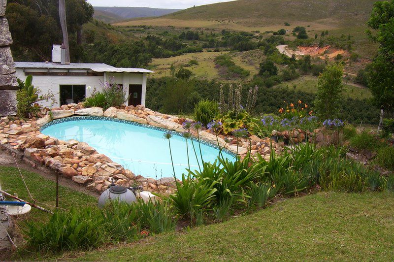 Dwarsrivier Country Getaway Herbertsdale Western Cape South Africa Palm Tree, Plant, Nature, Wood, Garden, Swimming Pool