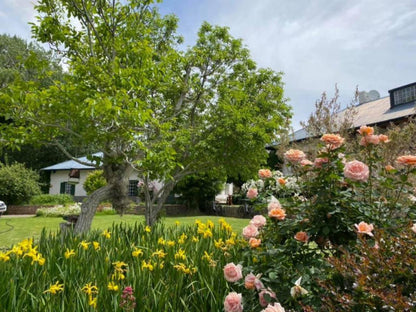 Dwarsvlei Guest House Middelburg Eastern Cape Eastern Cape South Africa Blossom, Plant, Nature, House, Building, Architecture, Garden