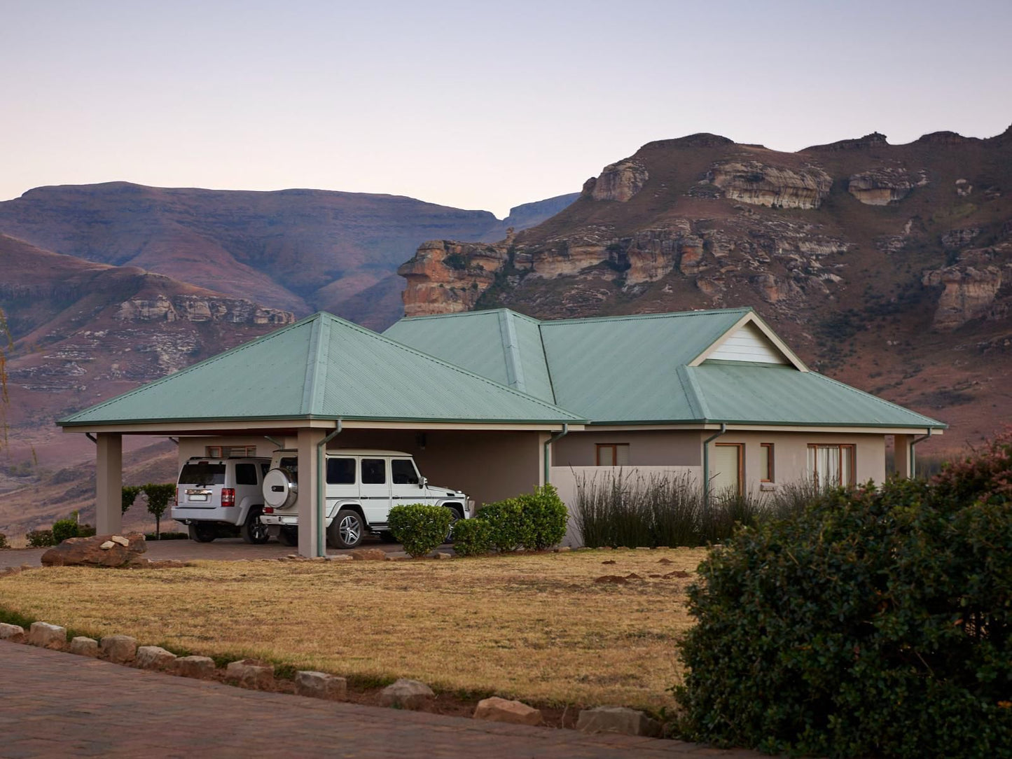 Dynasty Red Mountain Ranch Golden Gate Free State South Africa 