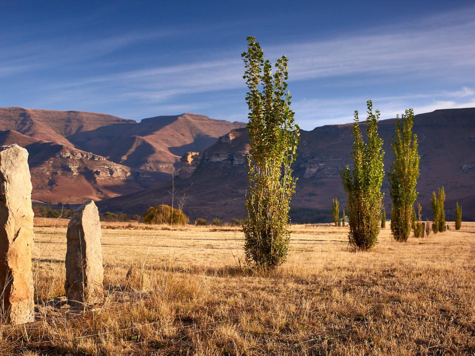 Dynasty Red Mountain Ranch Golden Gate Free State South Africa Complementary Colors, Nature