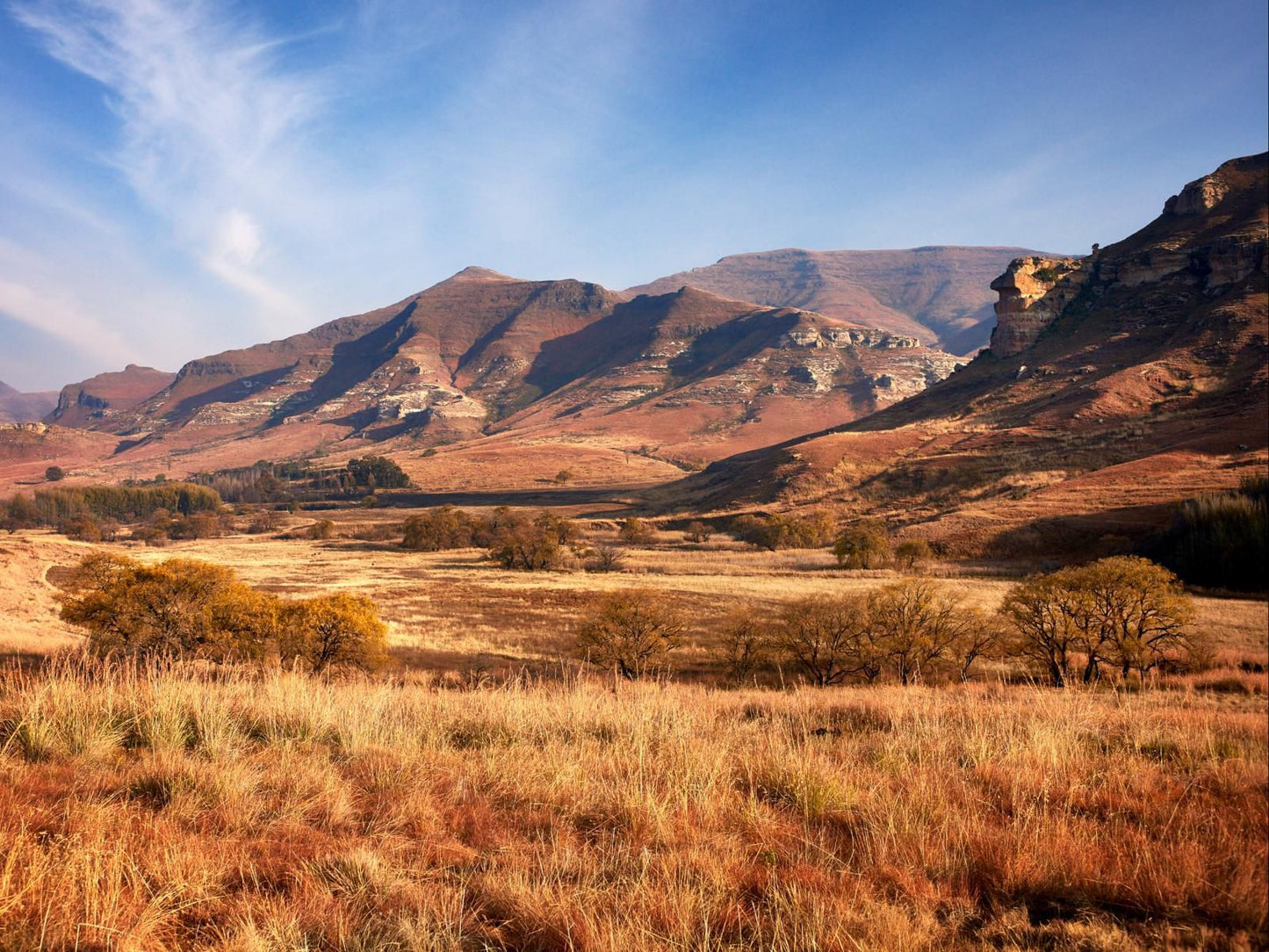 Dynasty Red Mountain Ranch Golden Gate Free State South Africa Complementary Colors, Nature