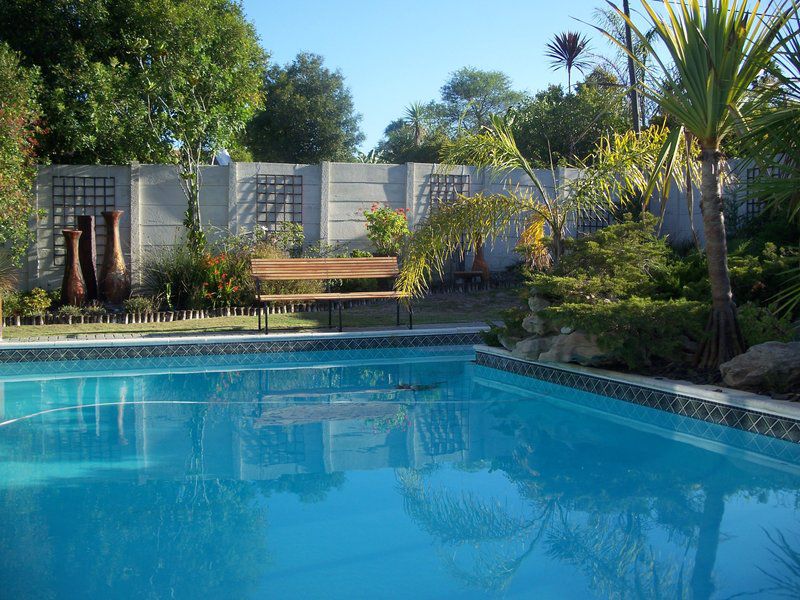 E Khaya Sonstraal Cape Town Western Cape South Africa Palm Tree, Plant, Nature, Wood, Garden, Swimming Pool