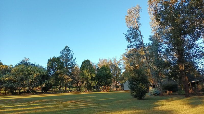 Eagle Creek Resorts Sabie Sabie Mpumalanga South Africa Complementary Colors, Plant, Nature, Tree, Wood