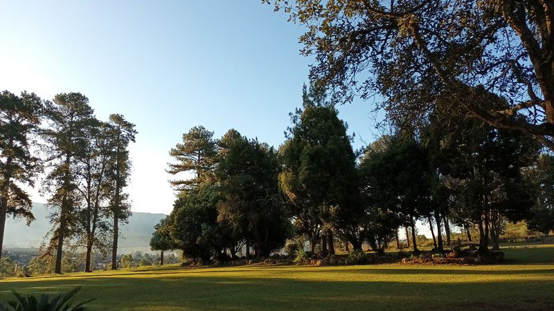 Eagle Creek Resorts Sabie Sabie Mpumalanga South Africa Tree, Plant, Nature, Wood