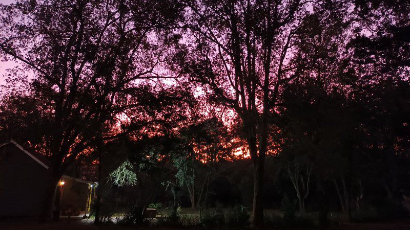 Eagle Creek Resorts Sabie Sabie Mpumalanga South Africa Nature, Sunset, Sky