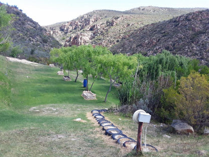 Eagle Falls Country Lodge And Adventures Uniondale Western Cape South Africa Cactus, Plant, Nature