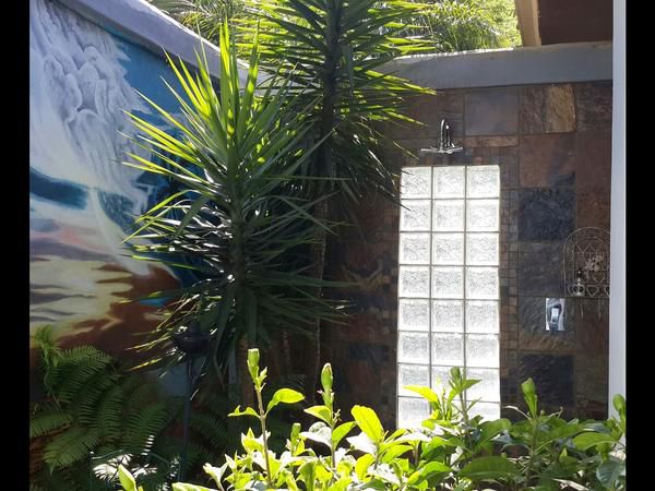 Eagle Rock Executive Guest House Kempton Park Johannesburg Gauteng South Africa Palm Tree, Plant, Nature, Wood, Garden