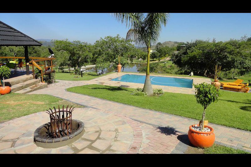 Eagles Guest Farm Nelspruit Mpumalanga South Africa Palm Tree, Plant, Nature, Wood, Garden, Swimming Pool