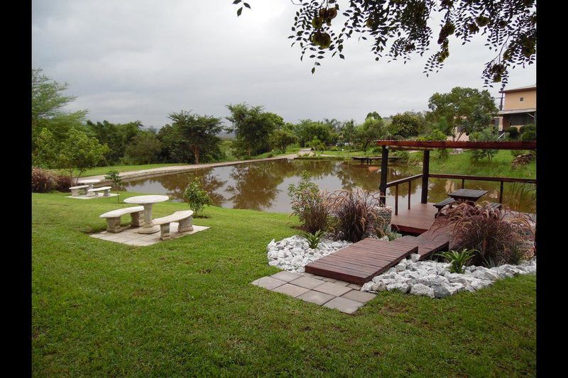 Eagles Guest Farm Nelspruit Mpumalanga South Africa Palm Tree, Plant, Nature, Wood, Swimming Pool