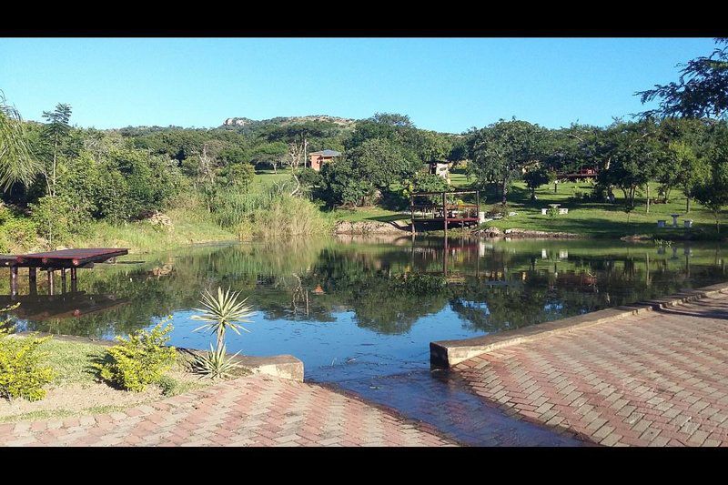 Eagles Guest Farm Nelspruit Mpumalanga South Africa Complementary Colors, Palm Tree, Plant, Nature, Wood, River, Waters, Garden, Golfing, Ball Game, Sport, Swimming Pool