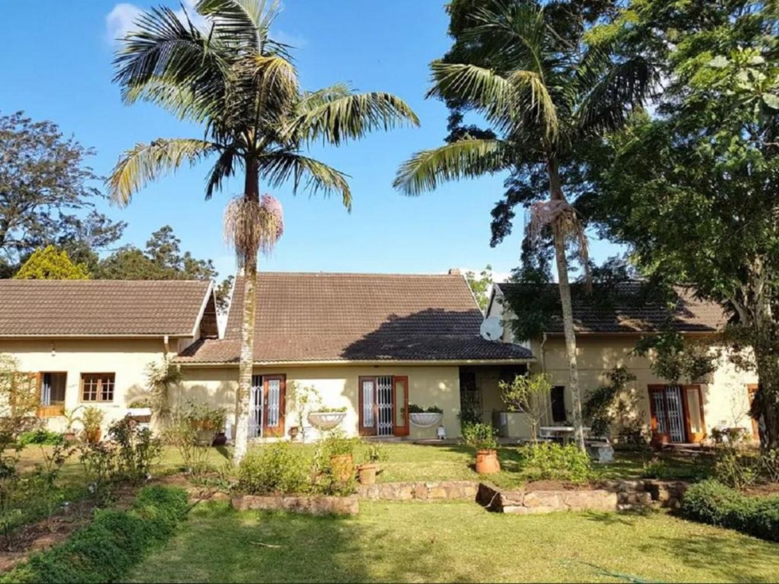 Eagles Landing Bandb Drummond Durban Kwazulu Natal South Africa Complementary Colors, House, Building, Architecture, Palm Tree, Plant, Nature, Wood, Living Room