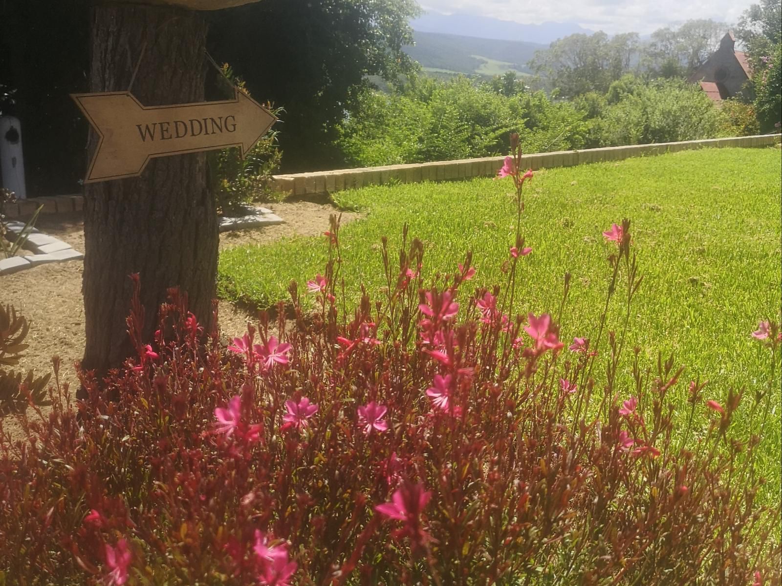 Eagles Nest Sedgefield Western Cape South Africa Flower, Plant, Nature