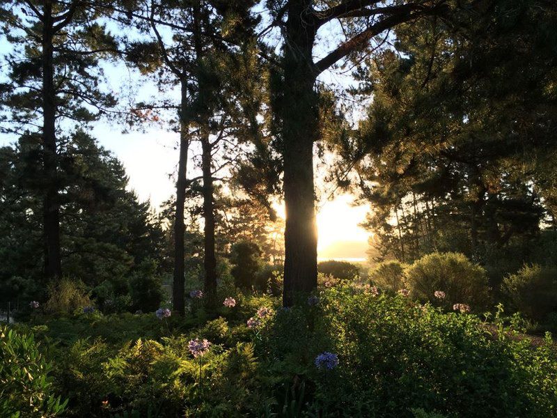 Eagles Call Cottages And Tent Wilderness Western Cape South Africa Plant, Nature, Garden, Sunset, Sky