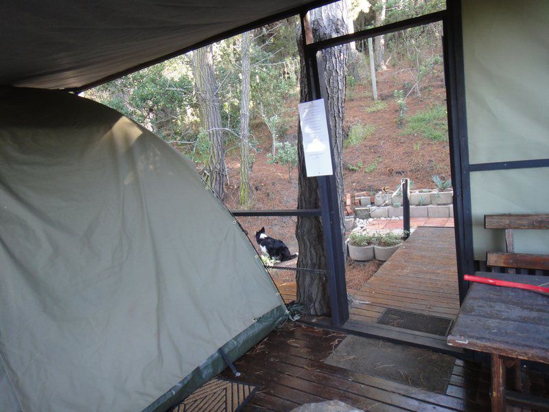 Eagles Call Cottages And Tent Wilderness Western Cape South Africa Unsaturated, Tent, Architecture