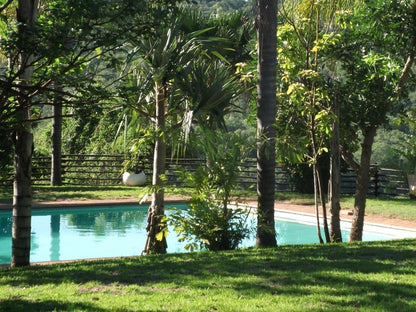 Eagles Nest Chalets Hazyview Mpumalanga South Africa Palm Tree, Plant, Nature, Wood, Swimming Pool