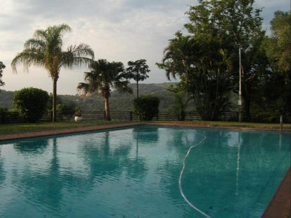 Eagles Nest Chalets Hazyview Mpumalanga South Africa Palm Tree, Plant, Nature, Wood, Swimming Pool