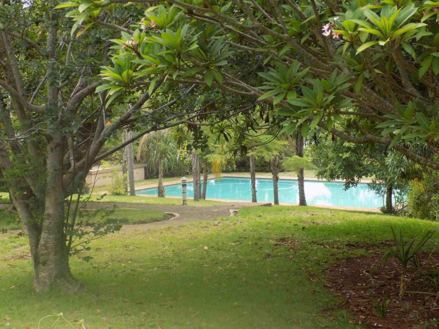 Eagles Nest Chalets Hazyview Mpumalanga South Africa Palm Tree, Plant, Nature, Wood, Tree, Garden, Swimming Pool