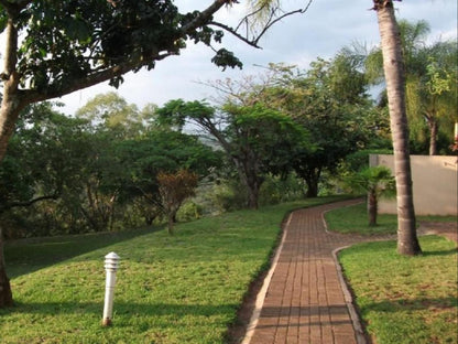 Eagles Nest Chalets Hazyview Mpumalanga South Africa Palm Tree, Plant, Nature, Wood