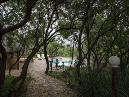 Eagles Nest Estate Guest House Eikenhof Johannesburg Gauteng South Africa Plant, Nature, Garden, Swimming Pool