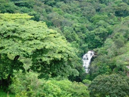 Eagle S View Bandb Kloof Durban Kwazulu Natal South Africa Forest, Nature, Plant, Tree, Wood, Waterfall, Waters, Highland