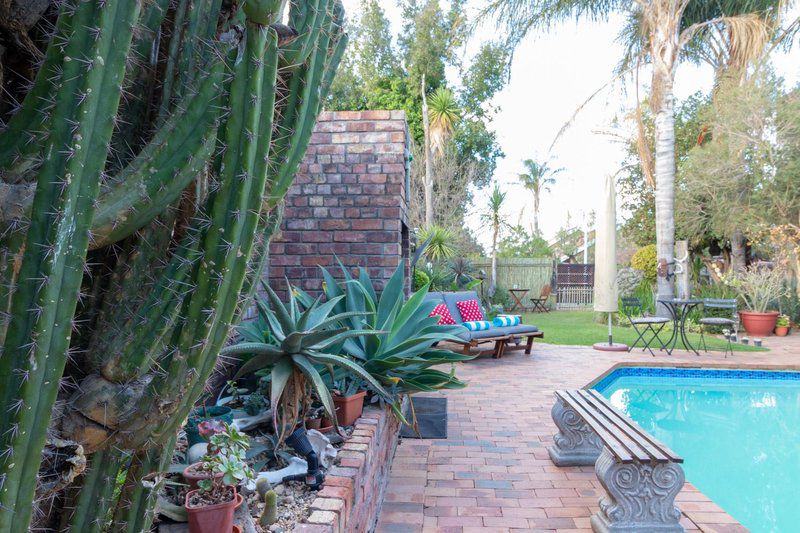 Earthbound Bandb Oudtshoorn Western Cape South Africa Palm Tree, Plant, Nature, Wood, Garden, Living Room, Swimming Pool