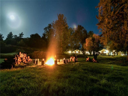 Eastbrook River Lodge Sedgefield Western Cape South Africa Nature, Night Sky