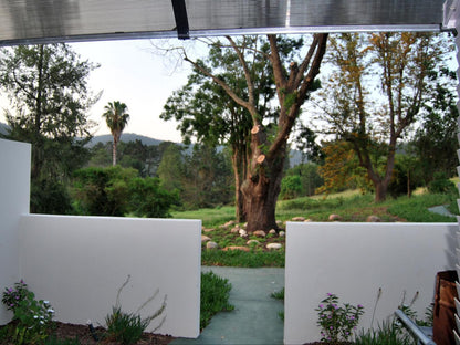 Eastbrook River Lodge Sedgefield Western Cape South Africa Palm Tree, Plant, Nature, Wood, Garden