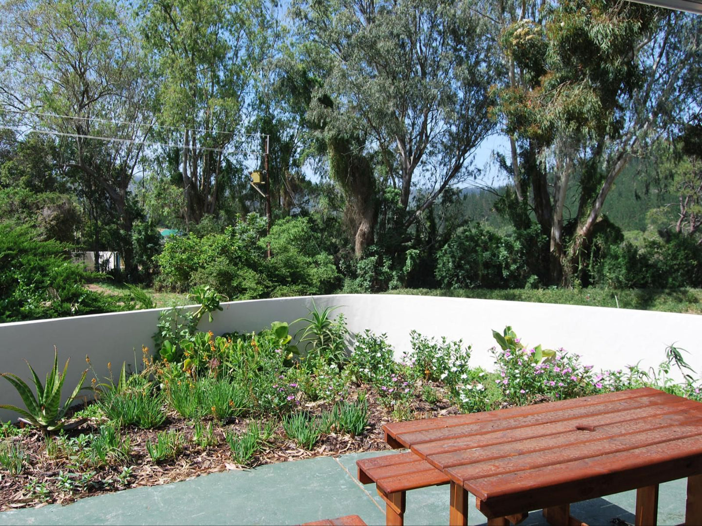 Eastbrook River Lodge Sedgefield Western Cape South Africa Palm Tree, Plant, Nature, Wood, Garden