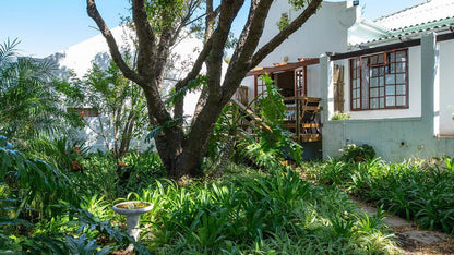 Eastcliff Cottage Eastcliff Hermanus Western Cape South Africa Palm Tree, Plant, Nature, Wood, Garden