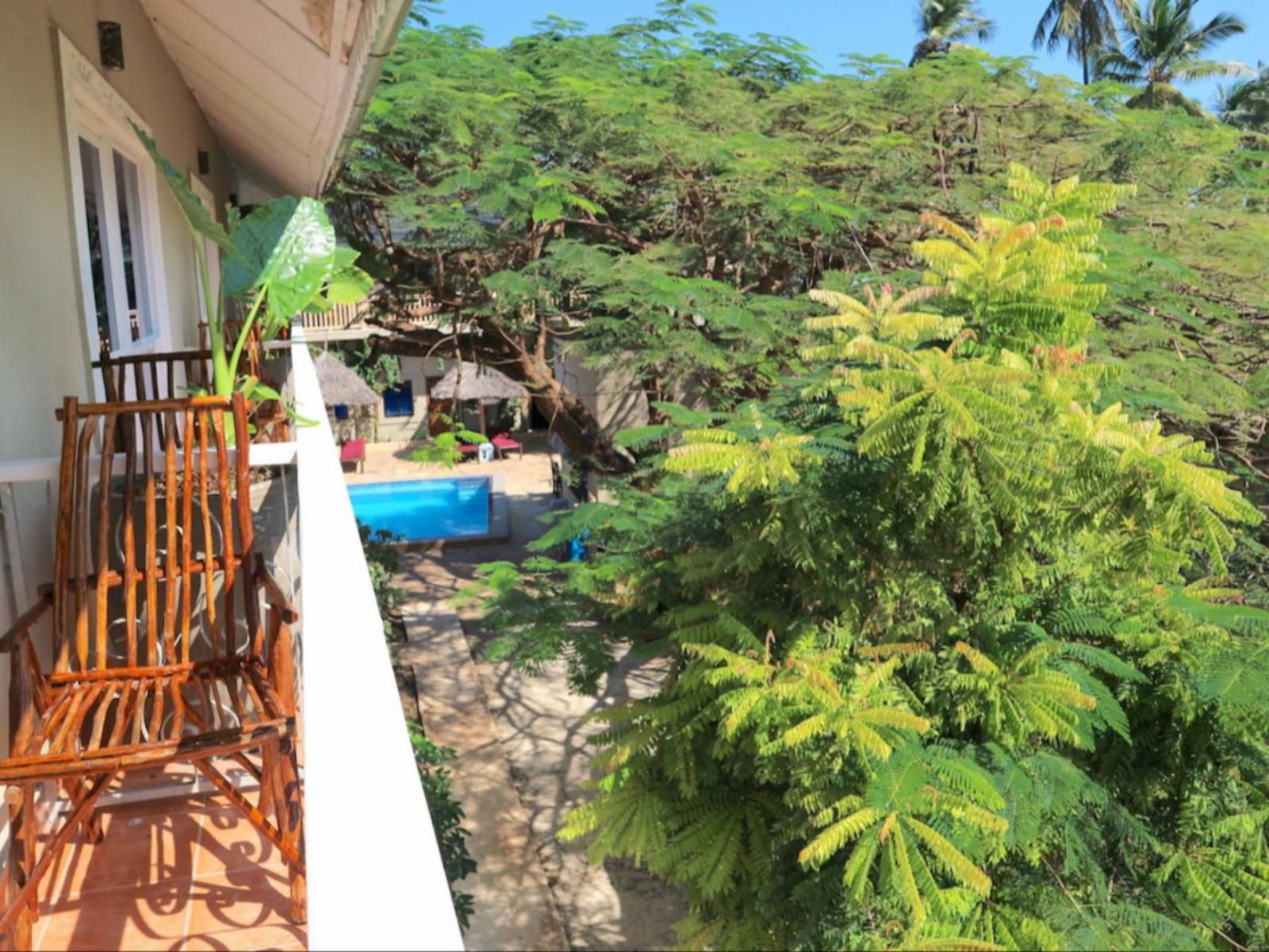 Ebb & Flow, Dorm Room, Palm Tree, Plant, Nature, Wood, Swimming Pool