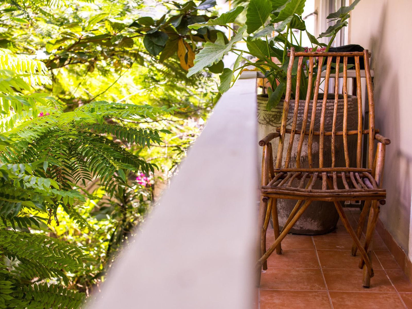 Ebb & Flow, Standard Balcony Room, Plant, Nature