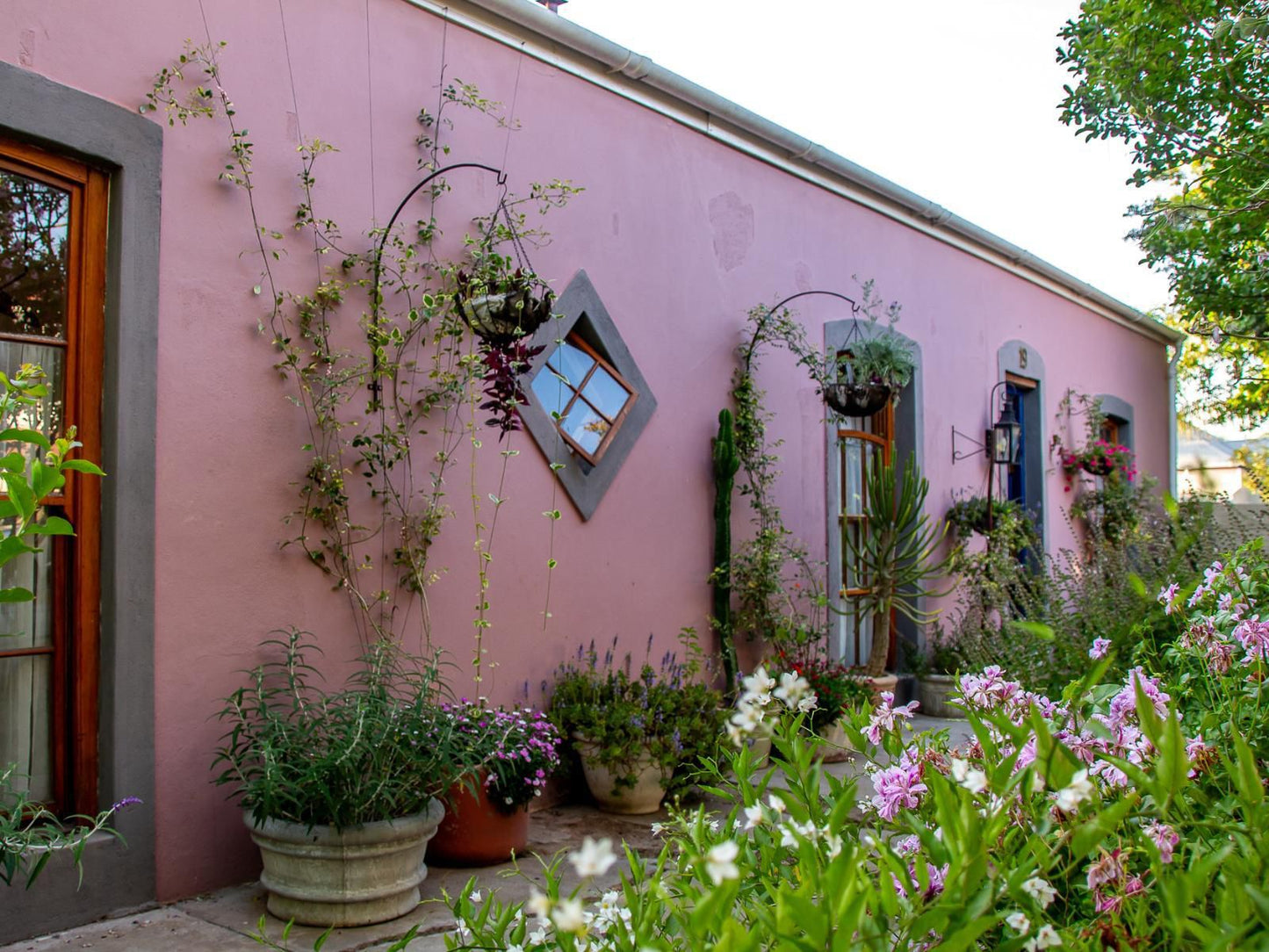 Ebonymoon Guest House, House, Building, Architecture, Plant, Nature, Garden