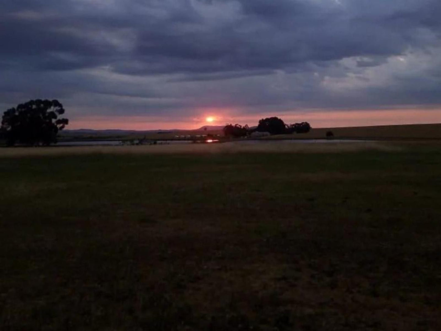 Ebonymoon Guest House And Studio Porterville Western Cape South Africa Sky, Nature, Lowland, Sunset