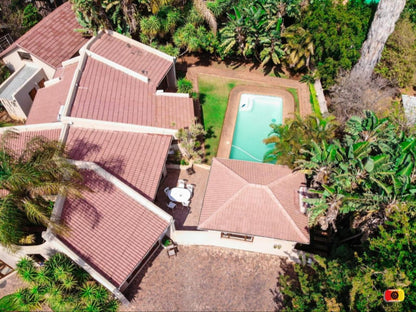 Echo Garden Guesthouse, House, Building, Architecture, Palm Tree, Plant, Nature, Wood, Swimming Pool