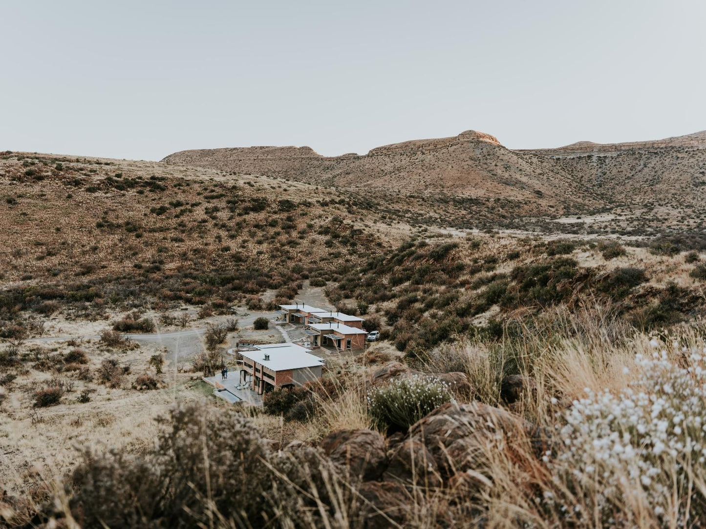 Eco Karoo Mountain Lodge Vanderkloof Northern Cape South Africa Cactus, Plant, Nature, Desert, Sand