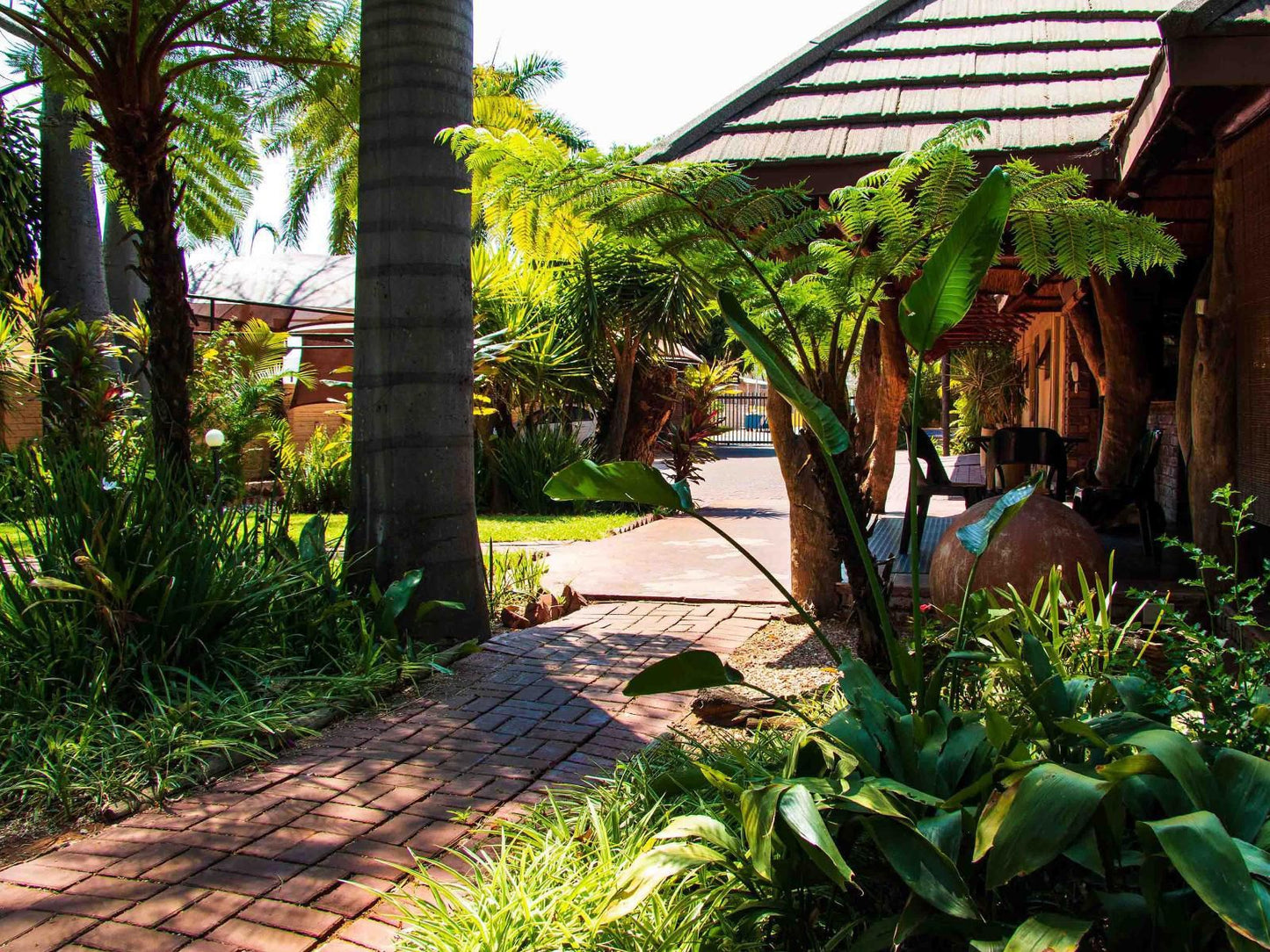 Eco Lodge, Palm Tree, Plant, Nature, Wood, Garden