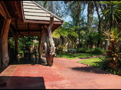 Eco Lodge, Palm Tree, Plant, Nature, Wood