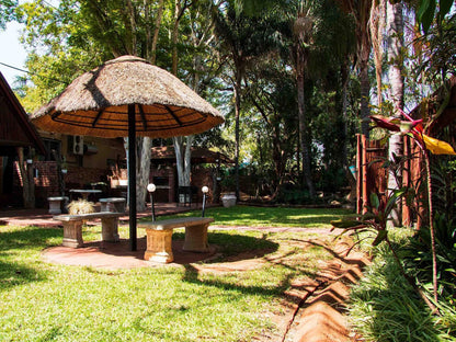 Eco Lodge, Palm Tree, Plant, Nature, Wood