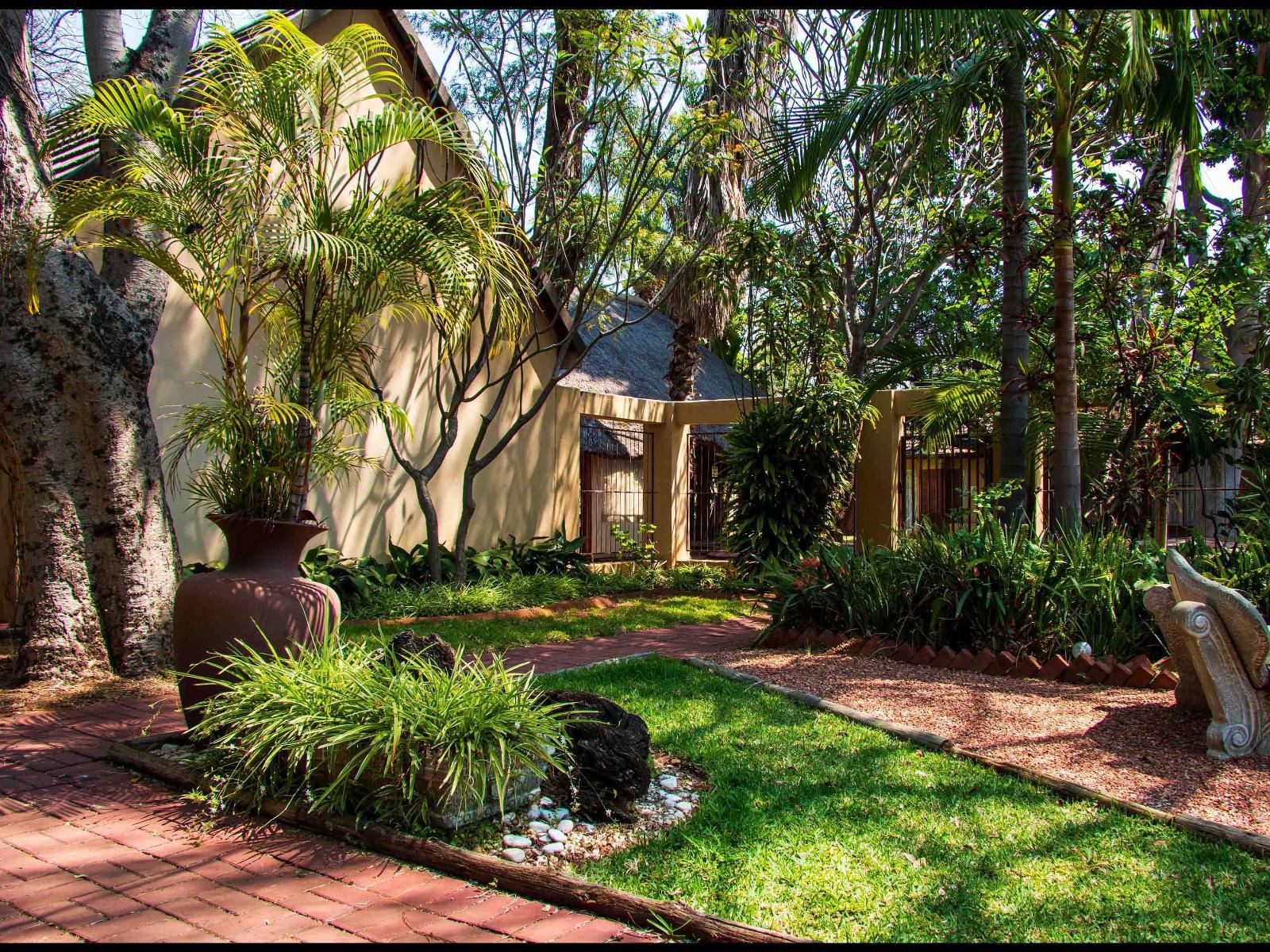 Eco Lodge, Palm Tree, Plant, Nature, Wood, Garden