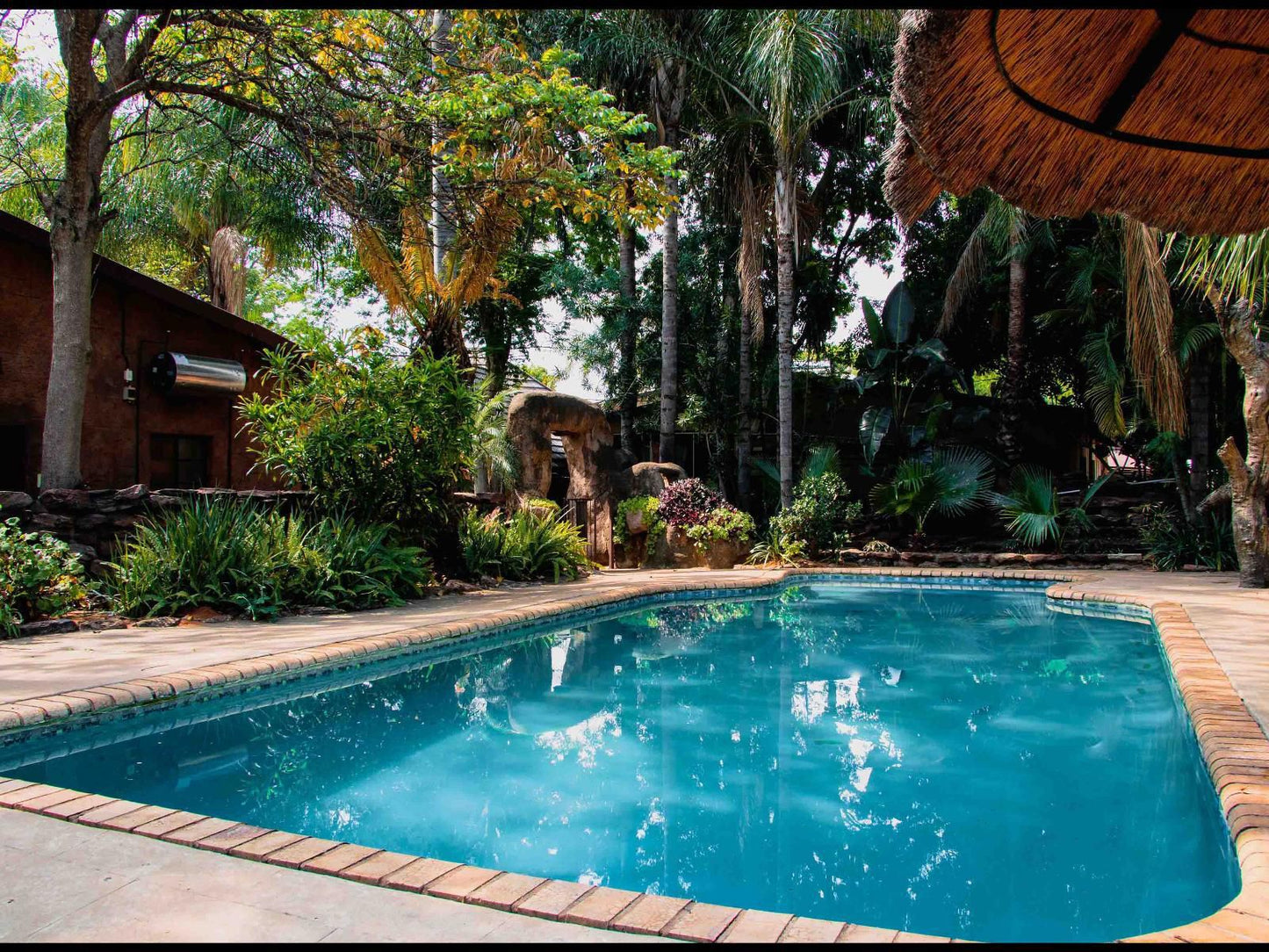 Eco Lodge, Palm Tree, Plant, Nature, Wood, Garden, Swimming Pool