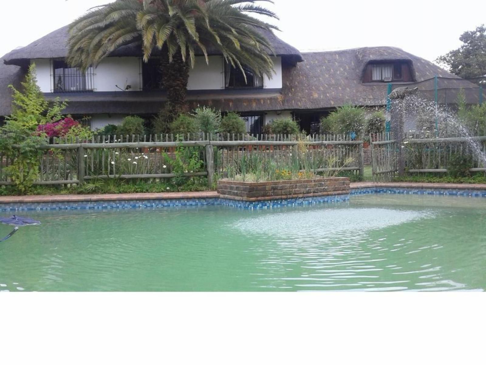 Damfela Ecolodge Midrand Glen Austin Johannesburg Gauteng South Africa House, Building, Architecture, Palm Tree, Plant, Nature, Wood, Garden, Swimming Pool