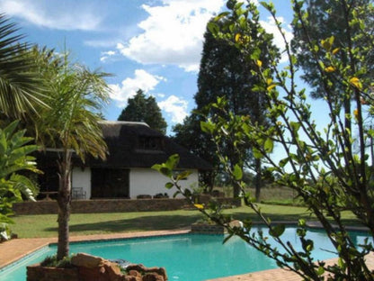 Damfela Ecolodge Midrand Glen Austin Johannesburg Gauteng South Africa Complementary Colors, Swimming Pool