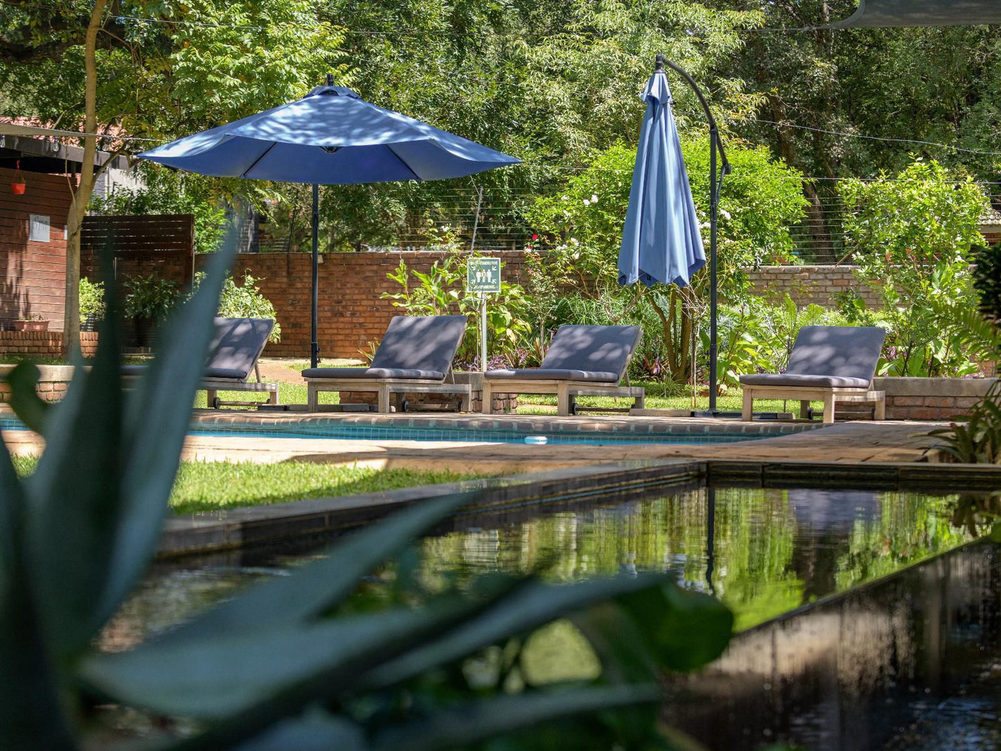 Ecolux Boutique Hotel Komatipoort Mpumalanga South Africa Garden, Nature, Plant, Swimming Pool