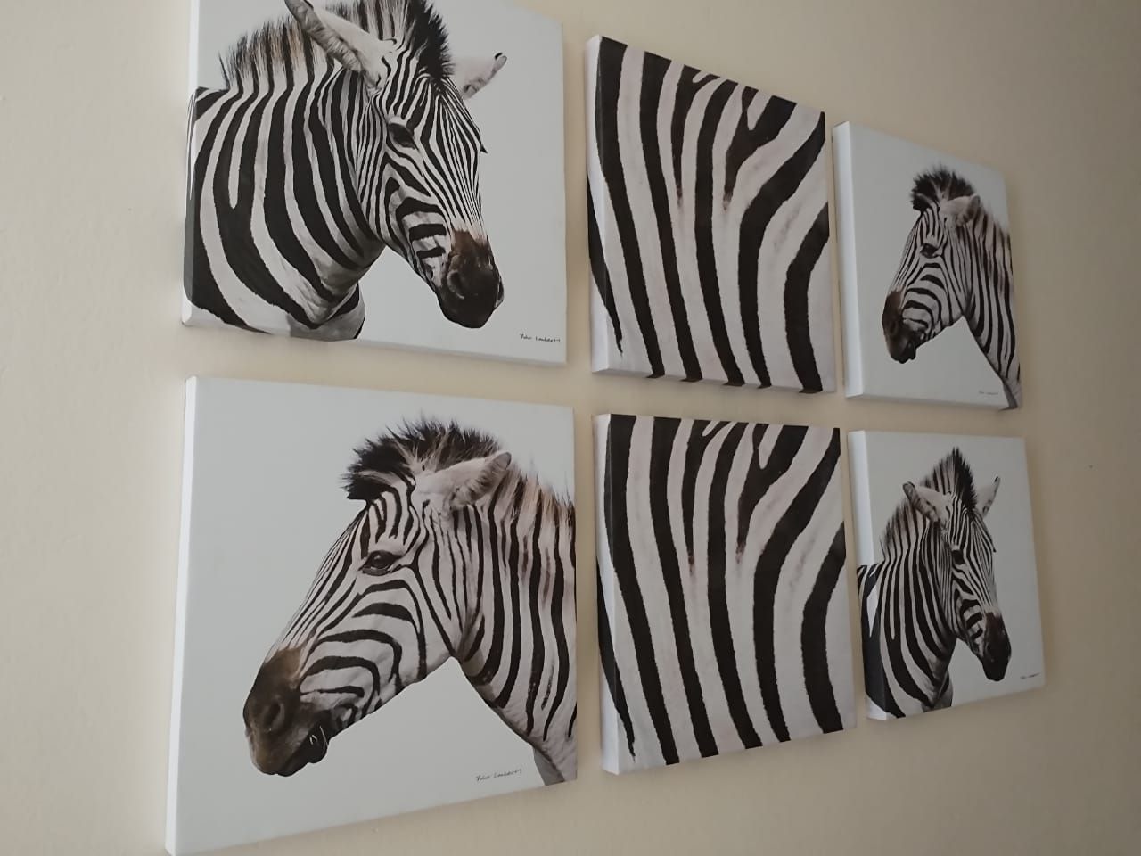 Ecotel Southgate Inn Meredale Johannesburg Gauteng South Africa Unsaturated, Zebra, Mammal, Animal, Herbivore, Art Gallery, Art, High Key