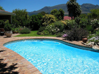 Edel Haus Constantia Cape Town Western Cape South Africa Complementary Colors, Garden, Nature, Plant, Swimming Pool
